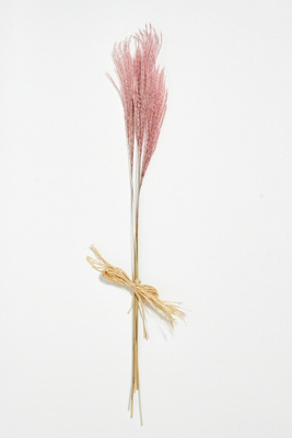 Rose Feather Dried Flower Bunch | Urban Outfitters UK