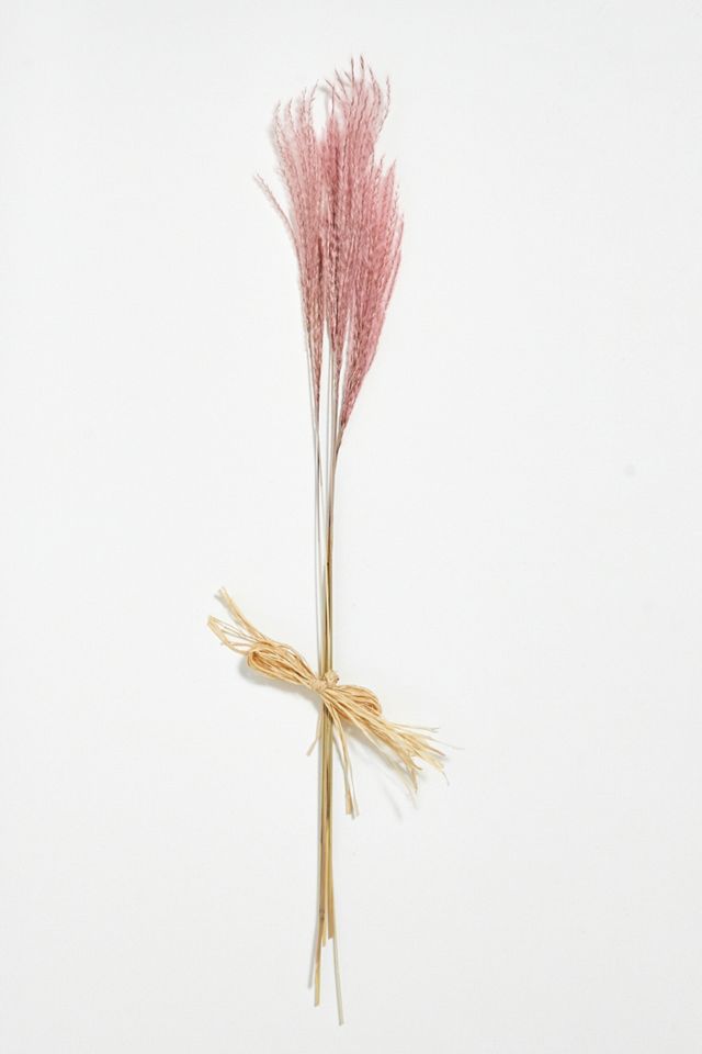 Rose Feather Dried Flower Bunch | Urban Outfitters UK
