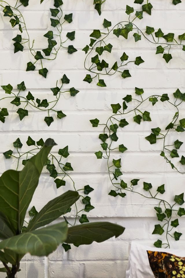 Decorative Vines Set  Urban Outfitters Australia