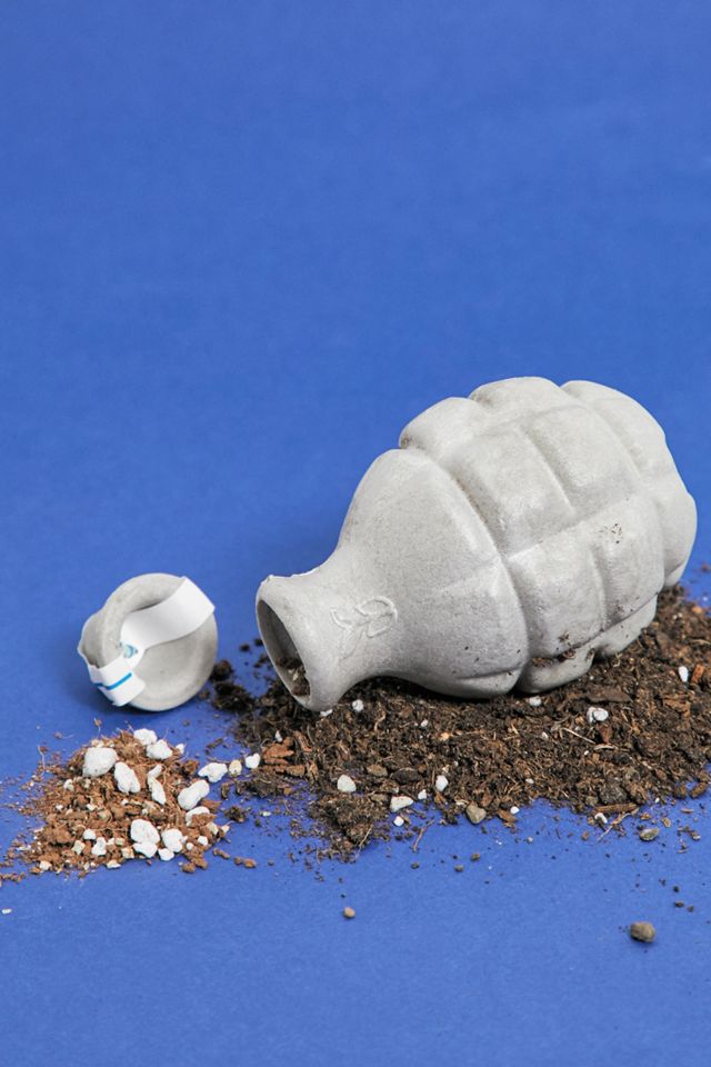 Grow Your Own Butterflybom Seedbom #1