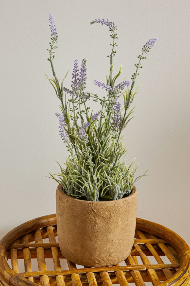 Plante artificielle dans un pot Lavande  #3