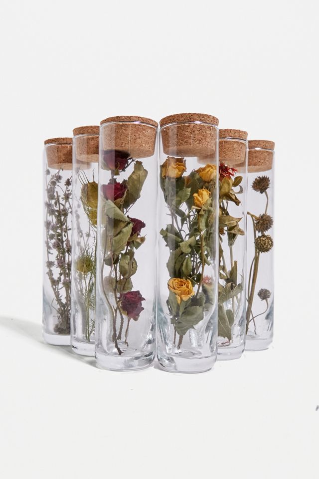 Plantophile Große Getrocknete Blumen Flasche #1