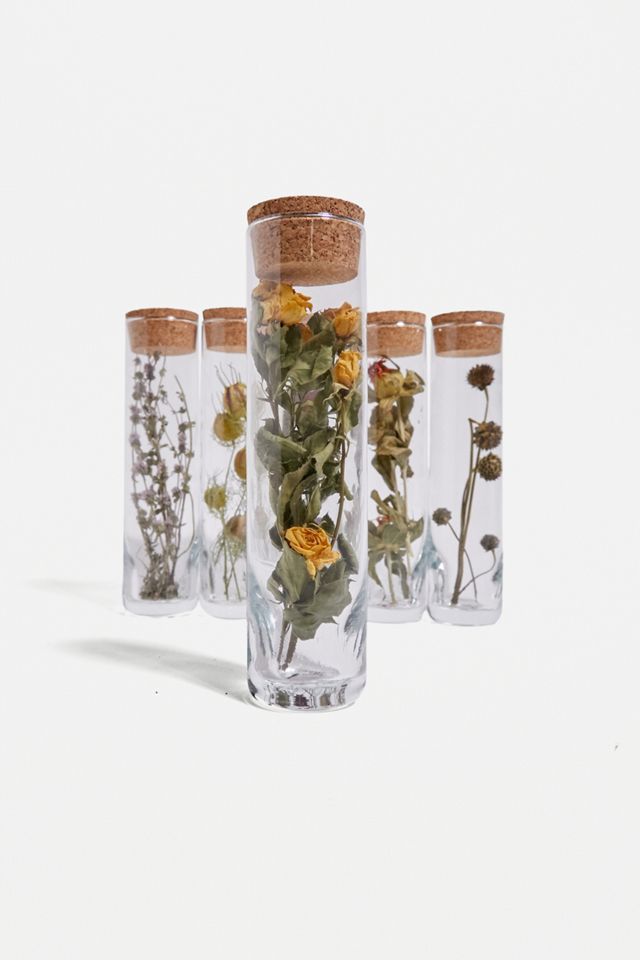 Plantophile Große Getrocknete Blumen Flasche #2