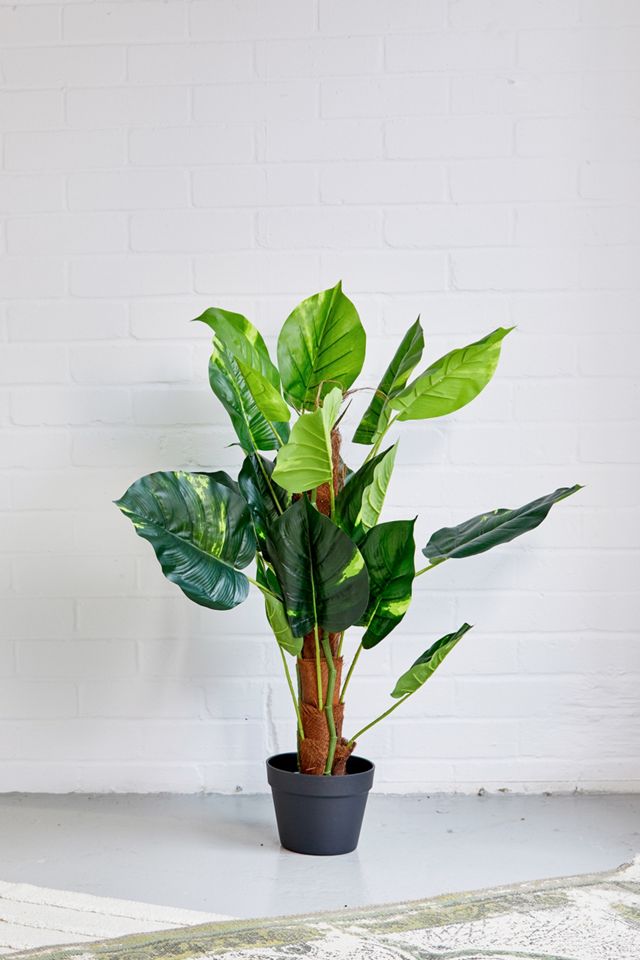 Faux Dieffenbachia Plant | Urban Outfitters UK