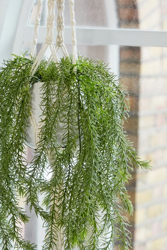 Faux Trailing Rosemary Plant #1