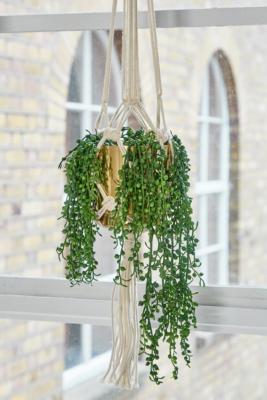 Faux Trailing String Of Pearls Plant