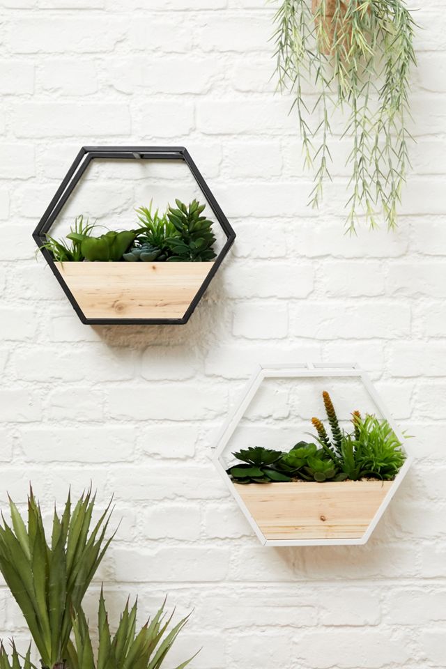 Black Faux Wall Hexagon Planter #2