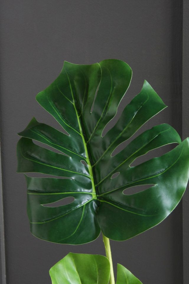 Knstliche Monstera Pflanze | Urban Outfitters DE