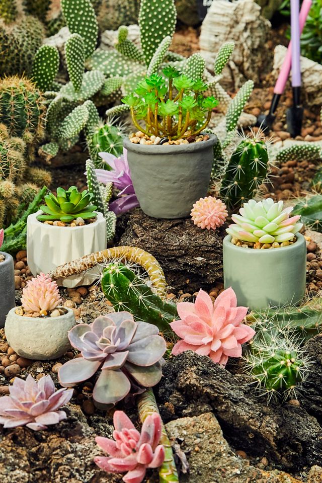 Faux Light Green Succulent  #2