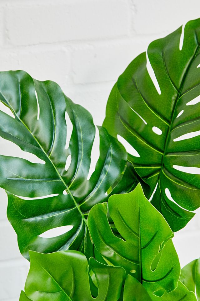 Faux Monstera Plant #1