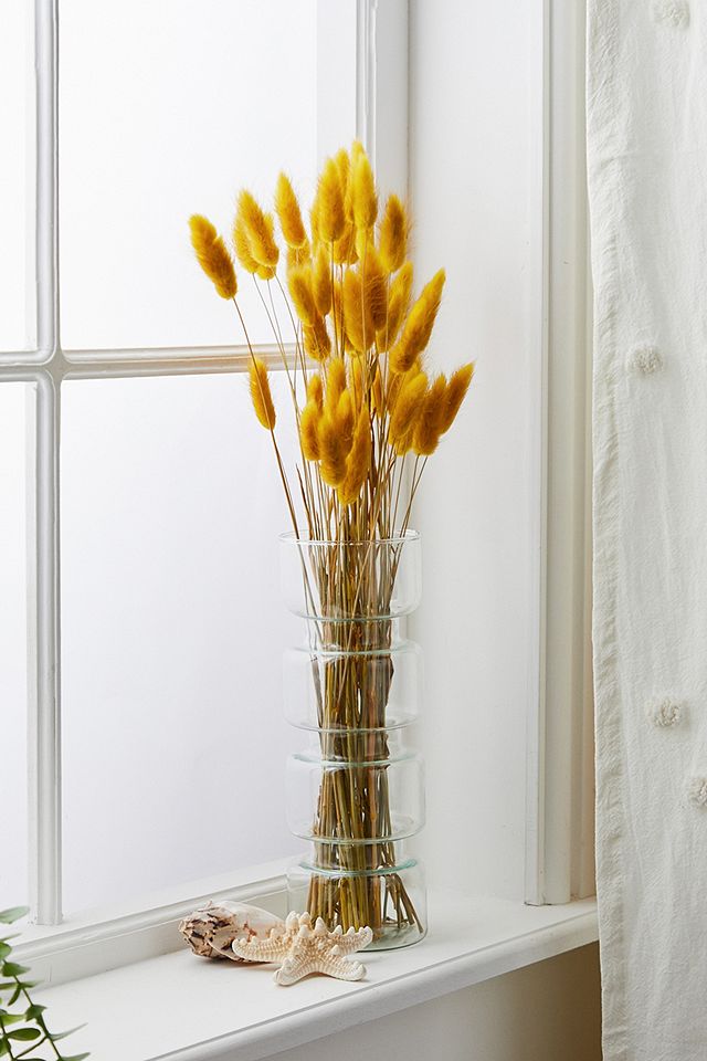 Yellow Bunny Tail Dried Flowers