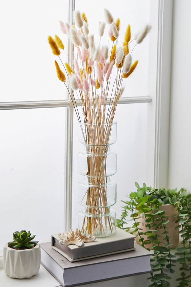 Yellow Bunny Tail Dried Flowers #2