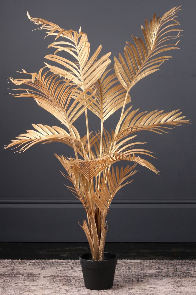 Unechte Kwai-Palme
