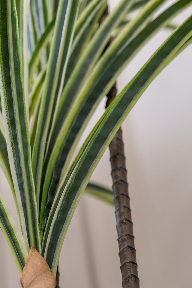 Grande Plante Yucca Panaché Artificielle #1