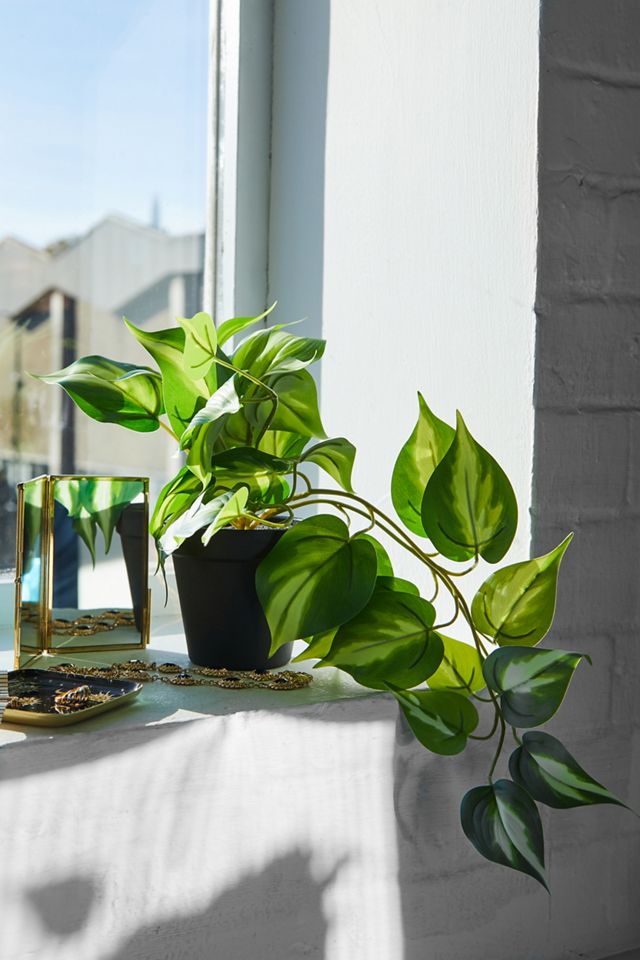 Silver Vine Faux Plant Urban Outfitters UK