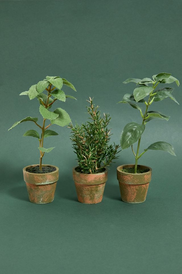 Faux Potted Herb Plant Assorted Urban Outfitters UK