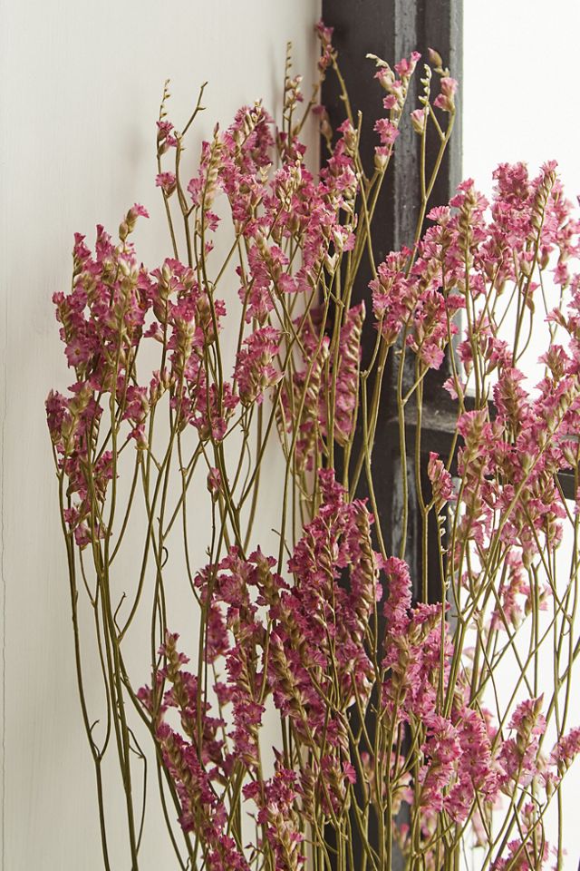 Dried Pink Limonium Bunch  #1