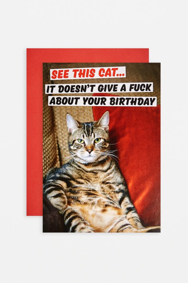 See This Cat Birthday Card | Urban Outfitters UK