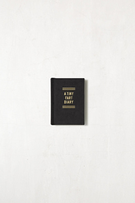 A Tiny Fart Diary (un petit journal des pets) 