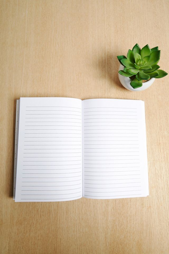 Central 23 Smiley Avocado Notebook  #3