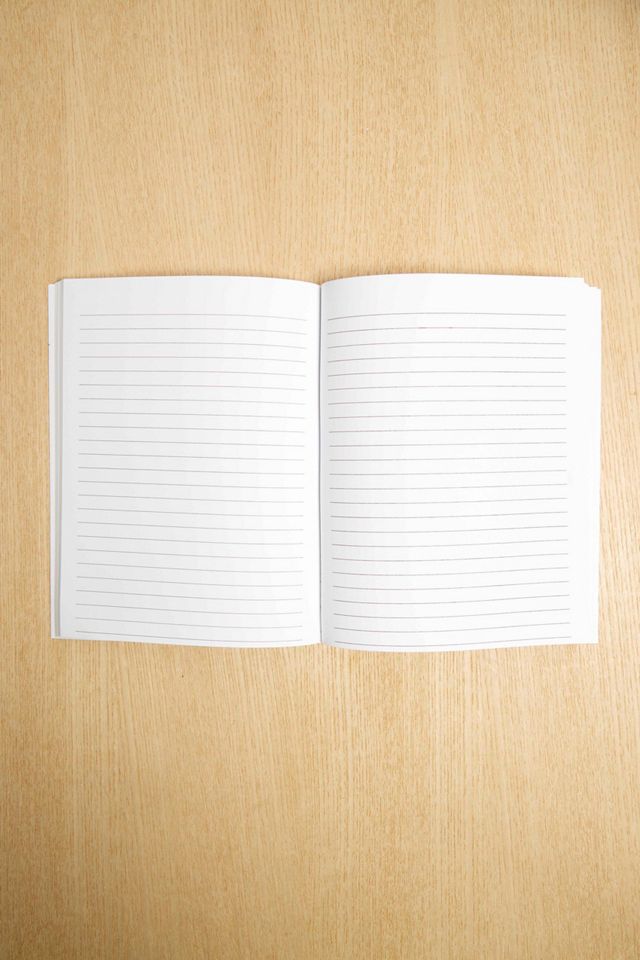 Central 23 Sausage Dogs Notebook #2