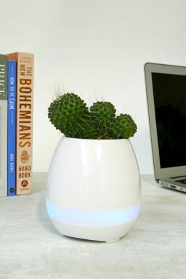 Plant Pot Bluetooth Speaker | Outfitters UK
