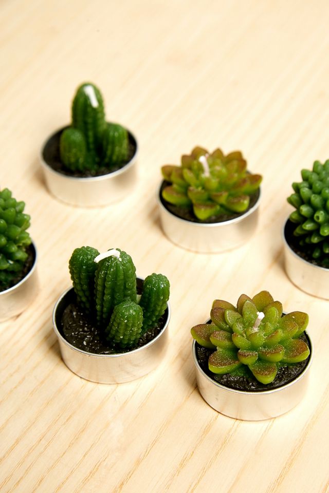 Cactus and Succulent Tealight Candles