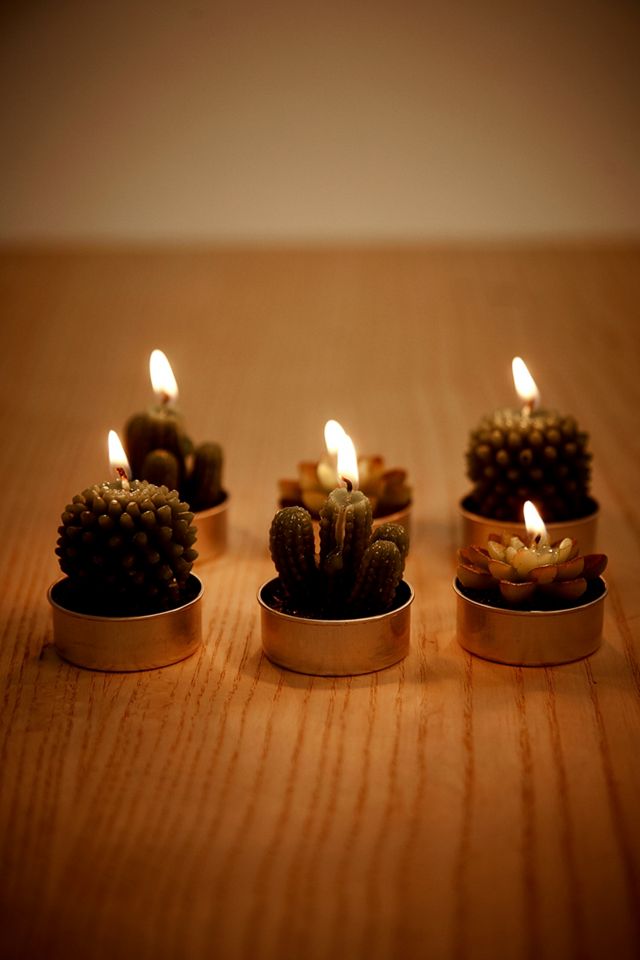 Cactus and Succulent Tealight Candles #1