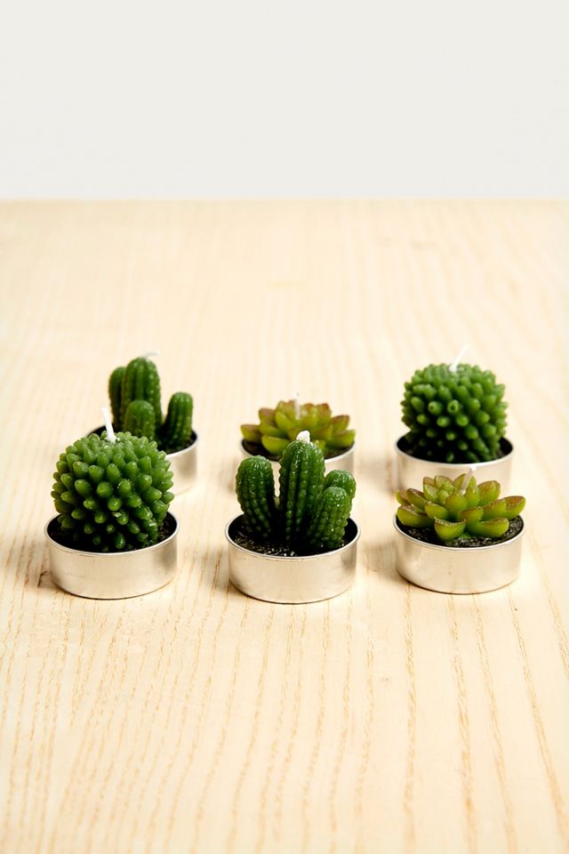 Cactus and Succulent Tealight Candles #2