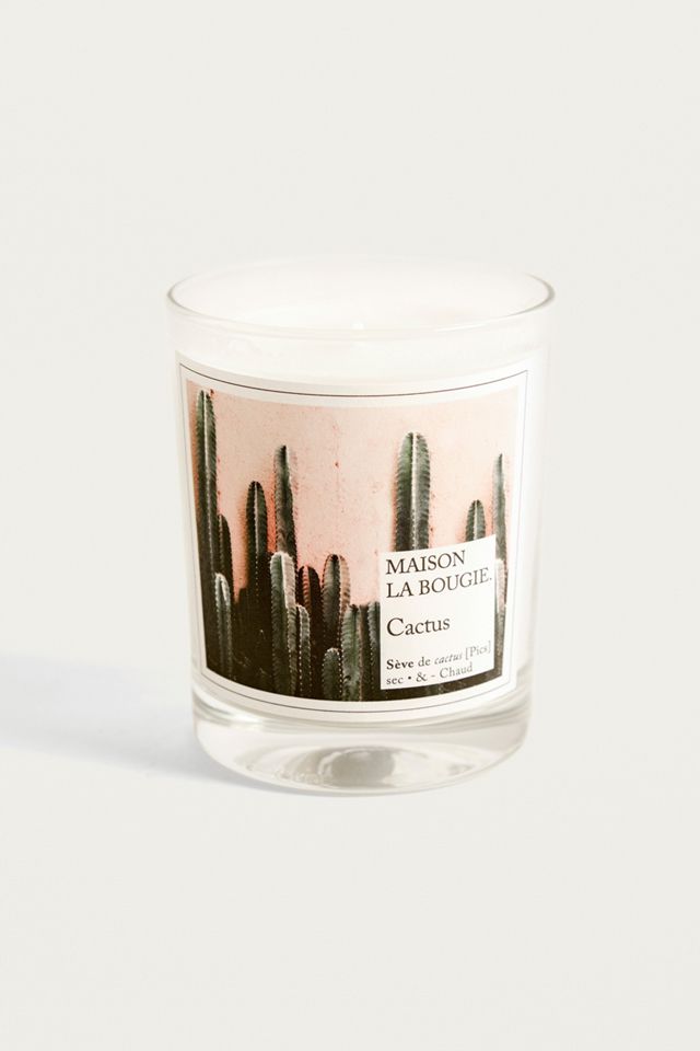 Maison La Bougie Cactus Vela #1