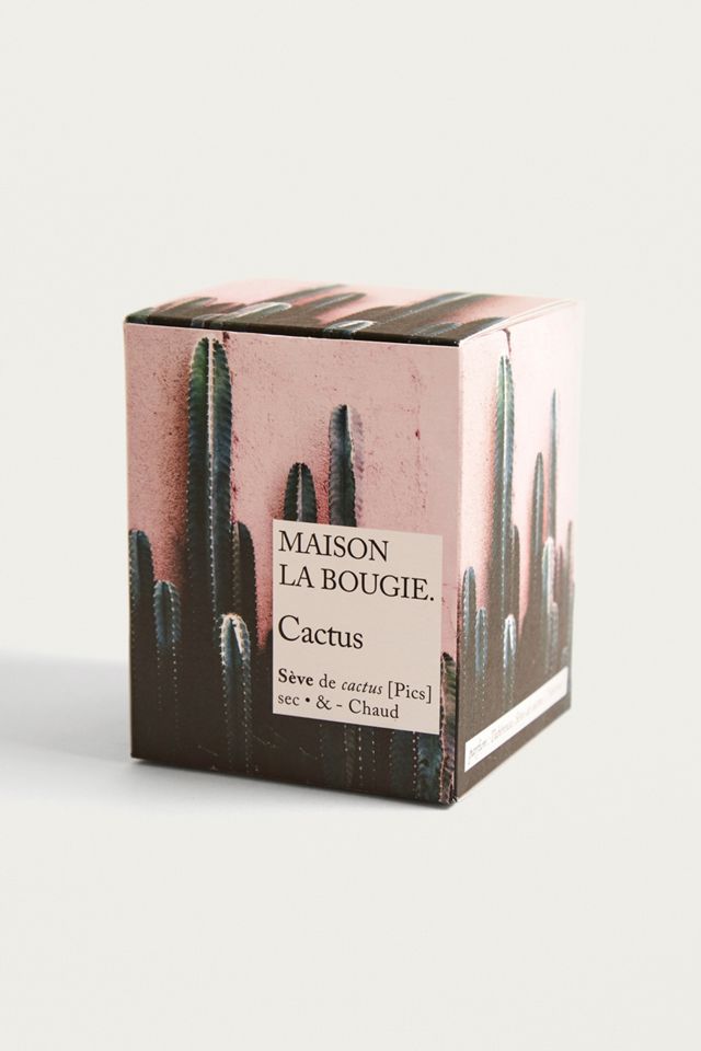 Maison La Bougie Cactus Vela #2