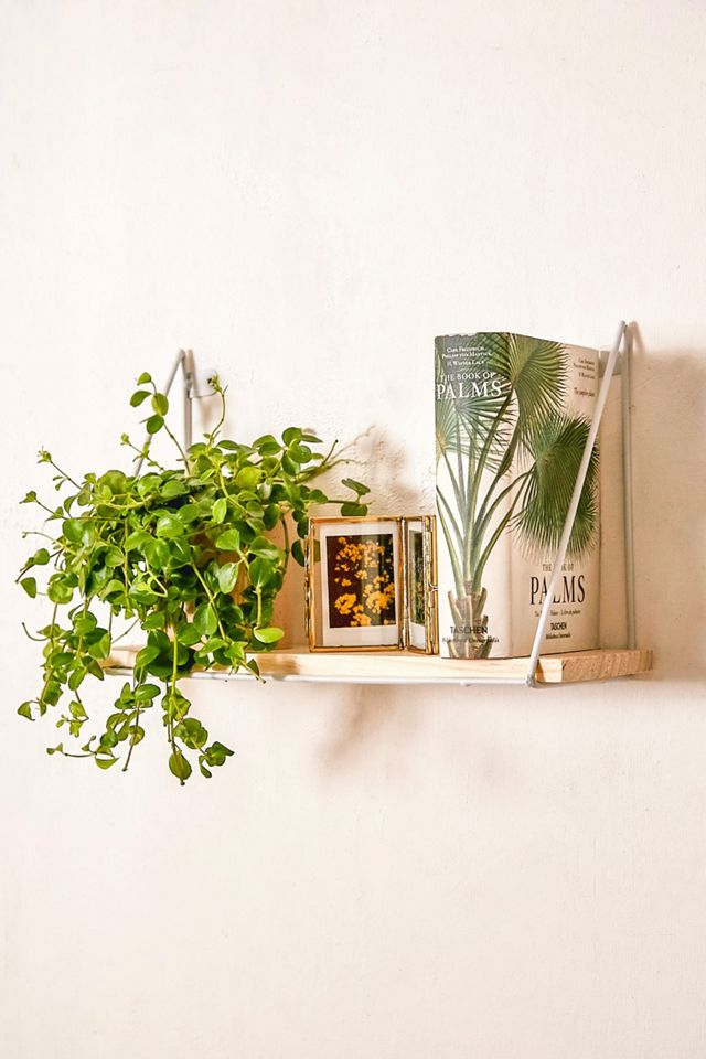Ari Metal Frame Single Shelf #4