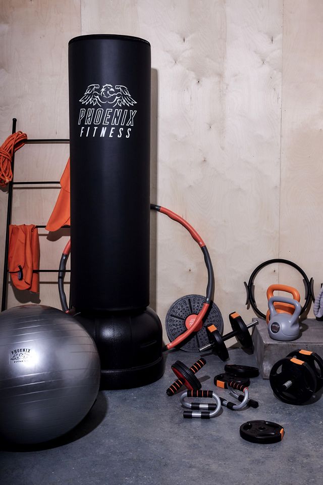 Phoenix Fitness Doorway Sit Up Bar #1
