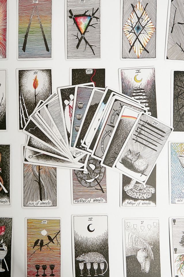 Kim Krans – Tarotkarten „The Wild Unknown Tarot Deck & Guidebook“ mit Anleitung #1