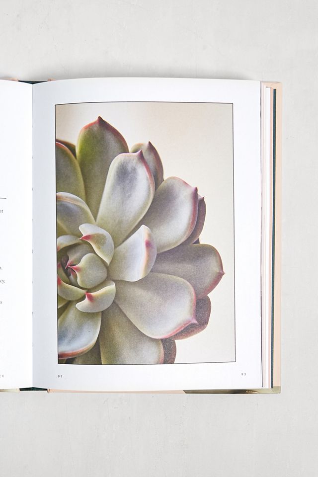 The Healing Power of Plants par Fran Bailey #1