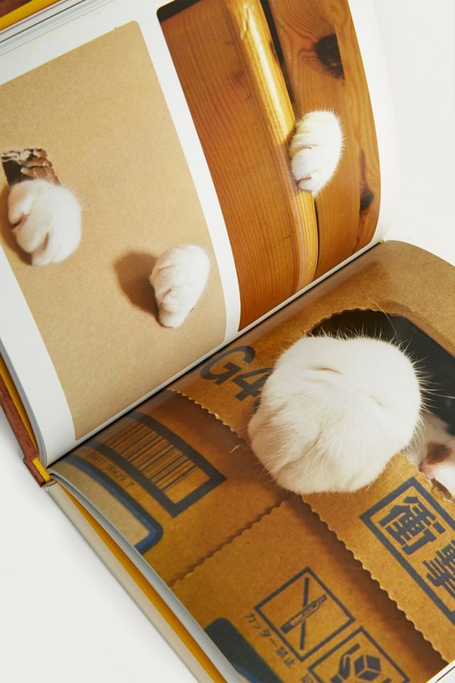 Cat Paws By PIE International #1