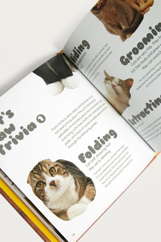 Cat Paws By PIE International #2