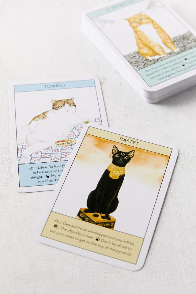 Cat Gurus: Wisdom from the World’s Most Celebrated Felines By Caroline Roberts #1
