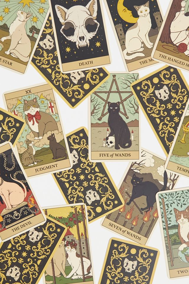 Catherine Davidson – Buch „Cats Rule The Earth Tarot: 78-Card Deck and ...