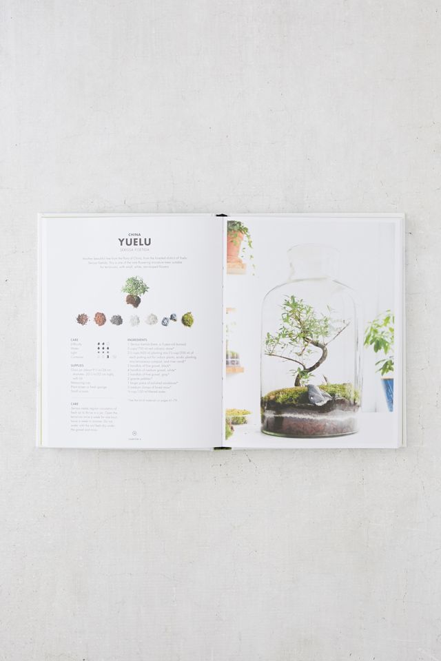 Terrarium: 33 Glass Garden to Make Your Own By Anna Bauer & Noah Levy #3