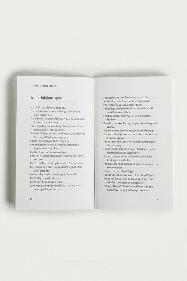 Cat Poems  #2