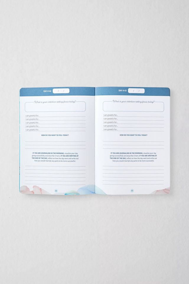 Manifeste comme une put*in de mère: Un guide sans conn*ries pour obtenir ce que tu veux #1
