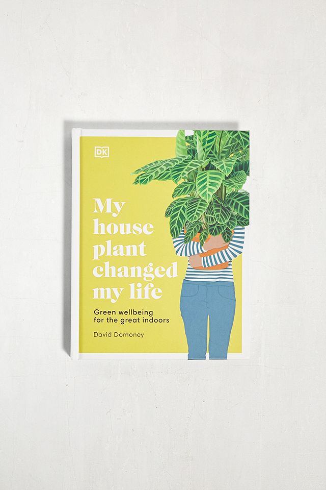 Green Wellbeing for the Great Indoors My House Plant Changed My Life