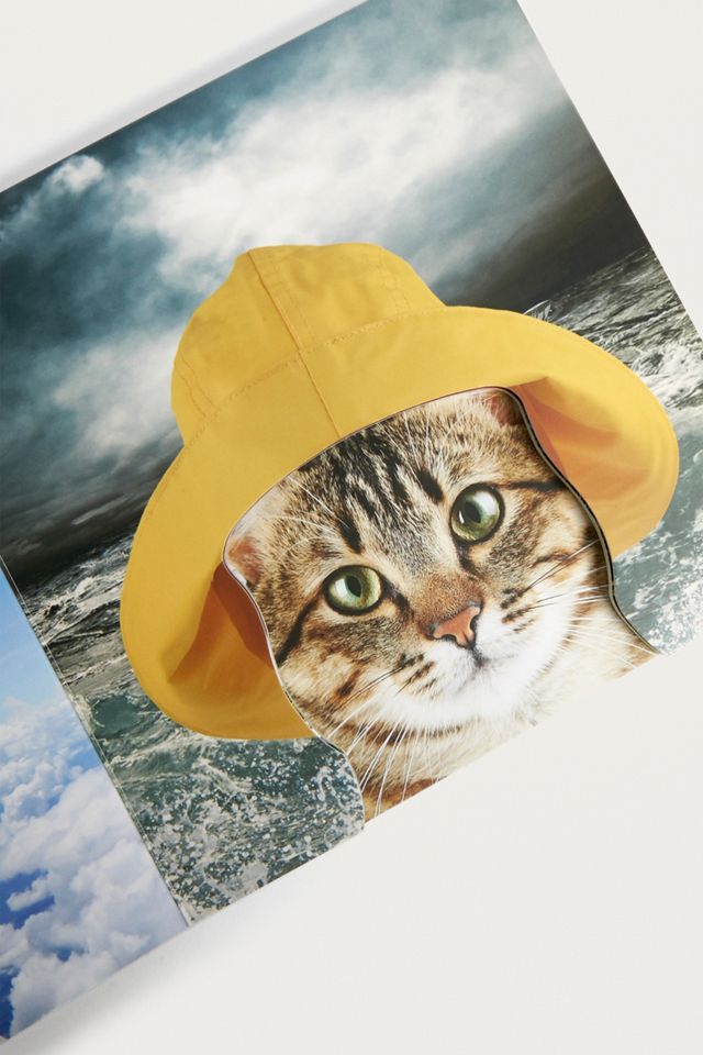 Cats in Hats #1