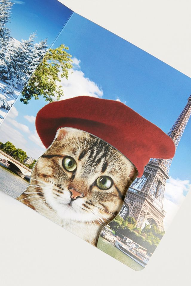Cats in Hats #3