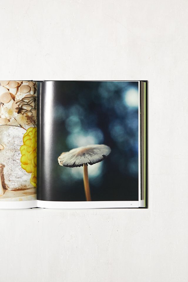Broccoli Spores: Magical Mushroom Photography Magazine #1
