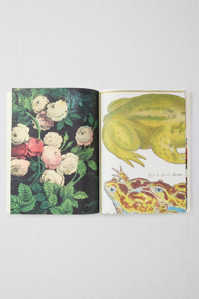 John Derian Paper Goods: Wrapping Paper & Gift Tags #1