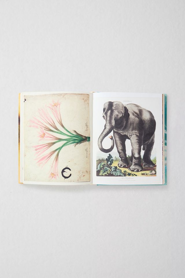 John Derian Sticker Book #1