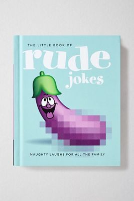 The Little Book Of Rude Jokes: Naughty Laughs For All The Family