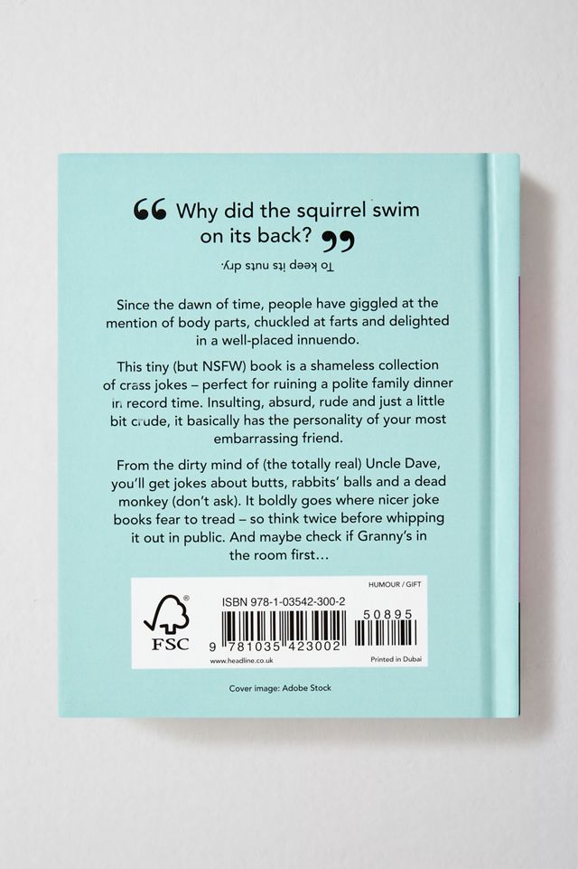 The Little Book Of Rude Jokes: Naughty Laughs For All The Family #3